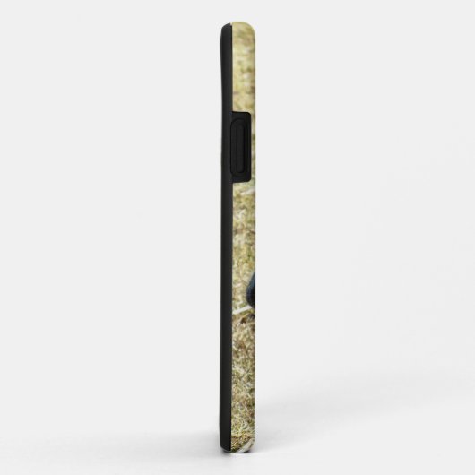 CAMELS Case-Mate iPhone CASE (Achterkant/rechts)