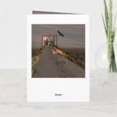 Camels die naar Wonderland lopen, Birthday Kaart (Achterkant)