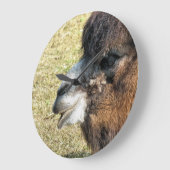 CAMELS GROTE KLOK (Hoek)