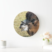 CAMELS GROTE KLOK (Huis)