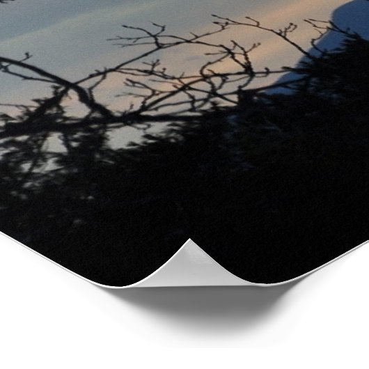 Camel's Hump Poster (Hoek)