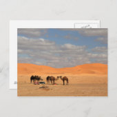 Camels in de Sahara-woestijn Briefkaart (Voorkant / Achterkant)