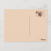 Camels in de woestijn bij St. Catherine's Briefkaart (Achterkant)