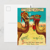 Camels in liefde, grappige St. Valentijnse kamele Briefkaart (Voorkant / Achterkant)