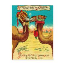 Camels in liefde, grappige St. Valentijnse kamele