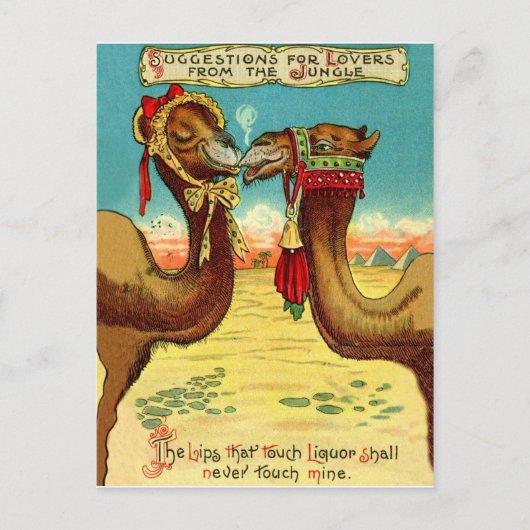 Camels in liefde, grappige St. Valentijnse kamele Briefkaart (Voorkant)