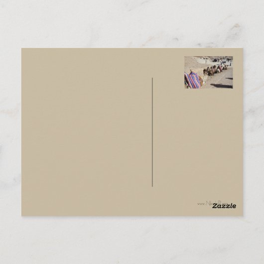 Camels in St. Catherine's Briefkaart (Achterkant)
