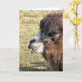 CAMELS KAART (Gele Bloem)