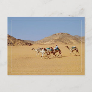 Camels nabij Wadi El-Seboua Temple, Egypte Briefkaart