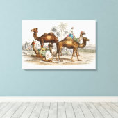Camels of India  Illustration, 1820 Canvas Afdruk (Insitu (Houten vloer))