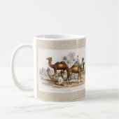 Camels of India Illustration, 1820 Koffiemok (Links)