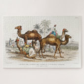 Camels of India  Illustration, 1820 Legpuzzel (Horizontaal)
