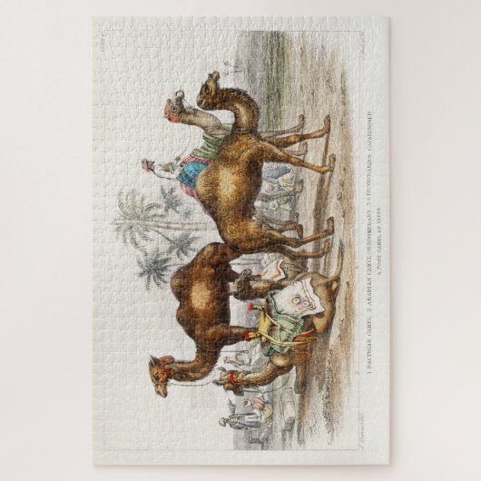 Camels of India  Illustration, 1820 Legpuzzel (Verticaal)