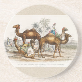 Camels of India Illustration, 1820 Zandsteen Onderzetter