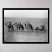 Camels Pulling a Carriage over the Sahara 1901 Poster (Voorkant)
