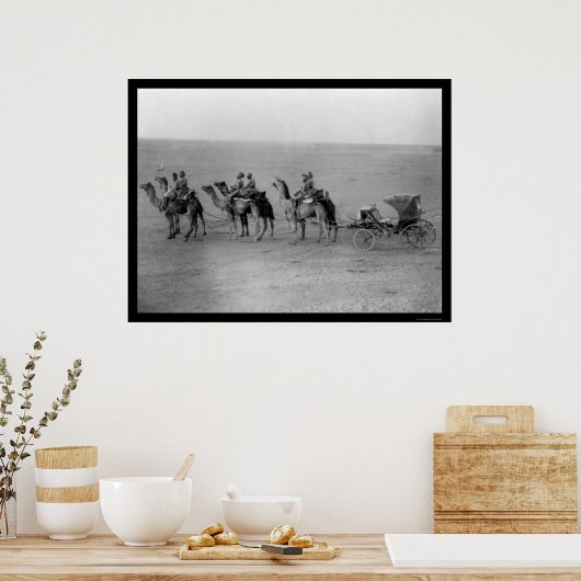 Camels Pulling a Carriage over the Sahara 1901 Poster (Keuken)