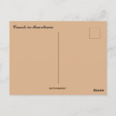 Camels Resting in Mauritanië Briefkaart (Achterkant)