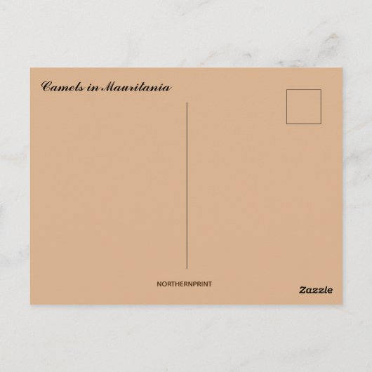 Camels Resting in Mauritanië Briefkaart (Achterkant)
