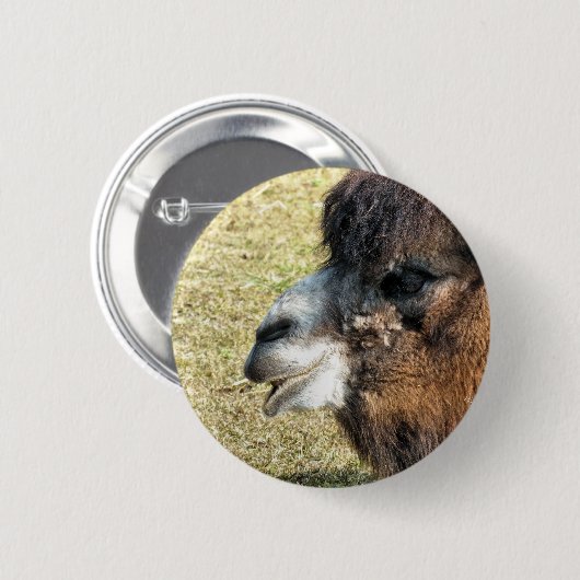 CAMELS RONDE BUTTON 5,7 CM (Voorkant /achterkant)