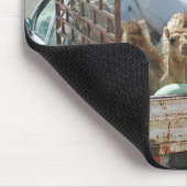 Camels Shooting the Breeze in the Sahara Mousepad Muismat (Hoek)