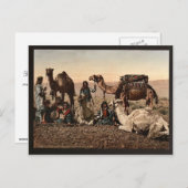 Camels stoppen in de woestijn, Heilige Land  Ph Briefkaart (Voorkant / Achterkant)