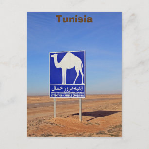 Camels-teken, Tunesië Briefkaart