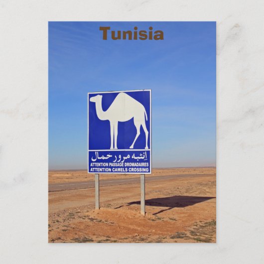 Camels-teken, Tunesië Briefkaart (Voorkant)