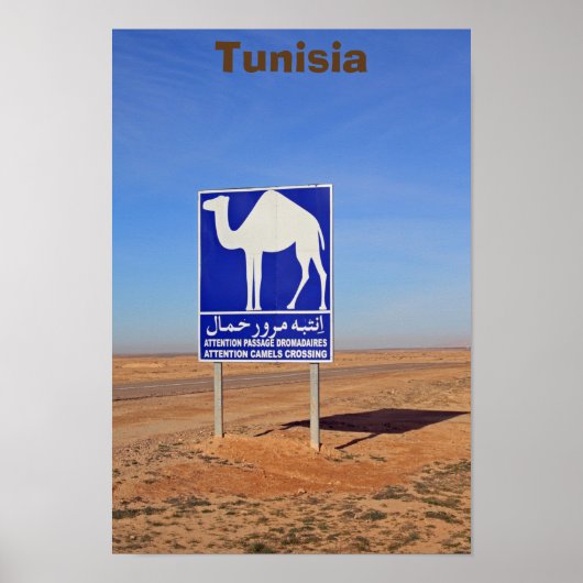 Camels-teken, Tunesië Poster (Voorkant)