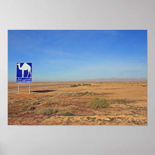 Camels-teken, Tunesië Poster (Voorkant)