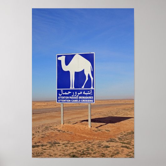 Camels-teken, Tunesië Poster (Voorkant)