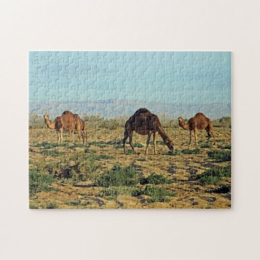 Camels, Tunesië 252-pc Legpuzzel (Horizontaal)