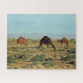 Camels, Tunesië 520-pc Legpuzzel (Horizontaal)