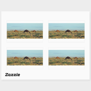 Camels, Tunesië Rechthoekige Sticker