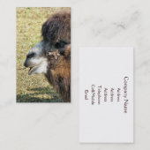 CAMELS VISITEKAARTJE (Voorkant / Achterkant)