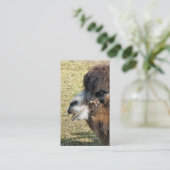 CAMELS VISITEKAARTJE (Staand voorkant)