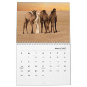 Camels Wall Calendar Kalender (Mar 2027)