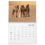 Camels Wall Calendar Kalender (Mar 2026)