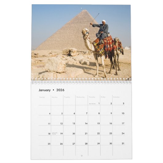 CAMELS Wandkalender Kalender (Jan 2026)