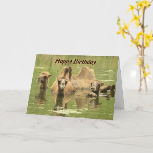 Camels Yum Kaart (Gele Bloem)