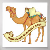 Camels zijn cool poster (Voorkant)
