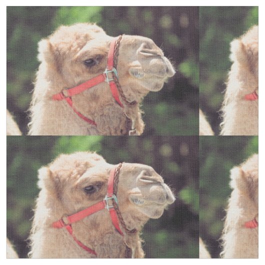 Camelstof Stof (Close Up)