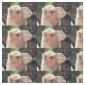 Camelstof Stof (Swatch)