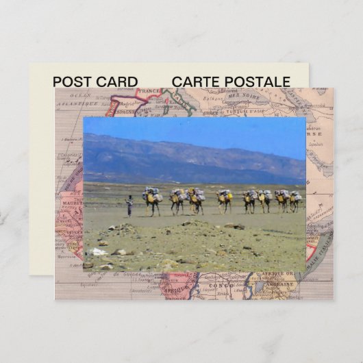 Cameltrein die de Sahara oversteekt Briefkaart (Voorkant / Achterkant)