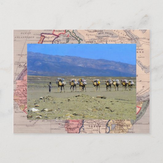 Cameltrein die de Sahara oversteekt Briefkaart (Voorkant)