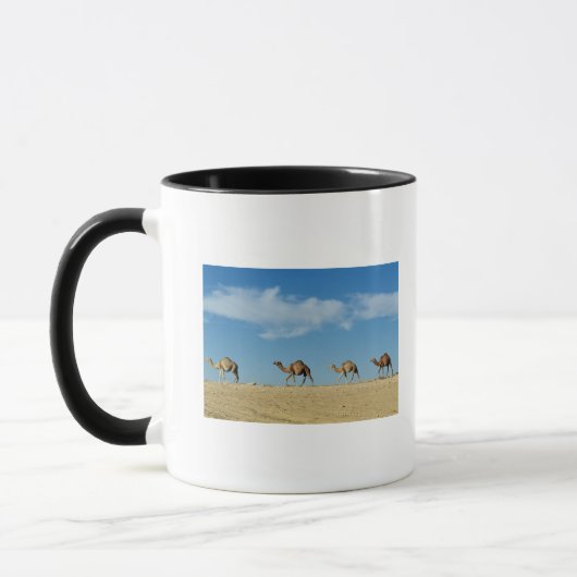 Cameltrein Mok (Links)