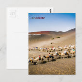 Cameltrein op Lanzarote Briefkaart (Voorkant / Achterkant)