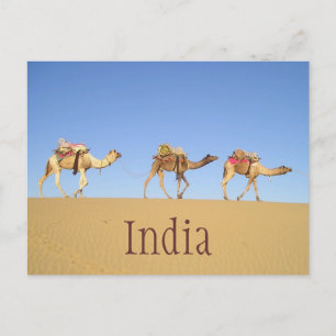 Cameltrein, Thar Desert Briefkaart
