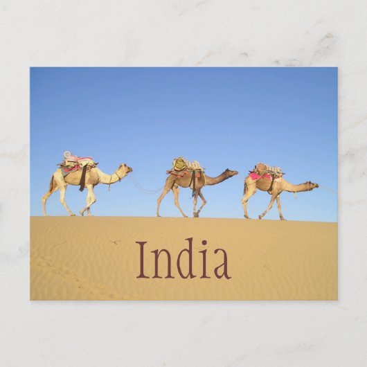 Cameltrein, Thar Desert Briefkaart (Voorkant)