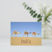 Cameltrein, Thar Desert Briefkaart (Staand voorkant)