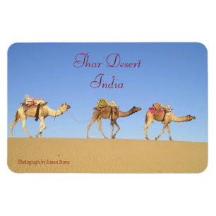 Cameltrein, Thar Desert Magnet Magneet